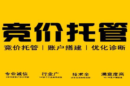 百度竞价公司运营策略：成功案例解析